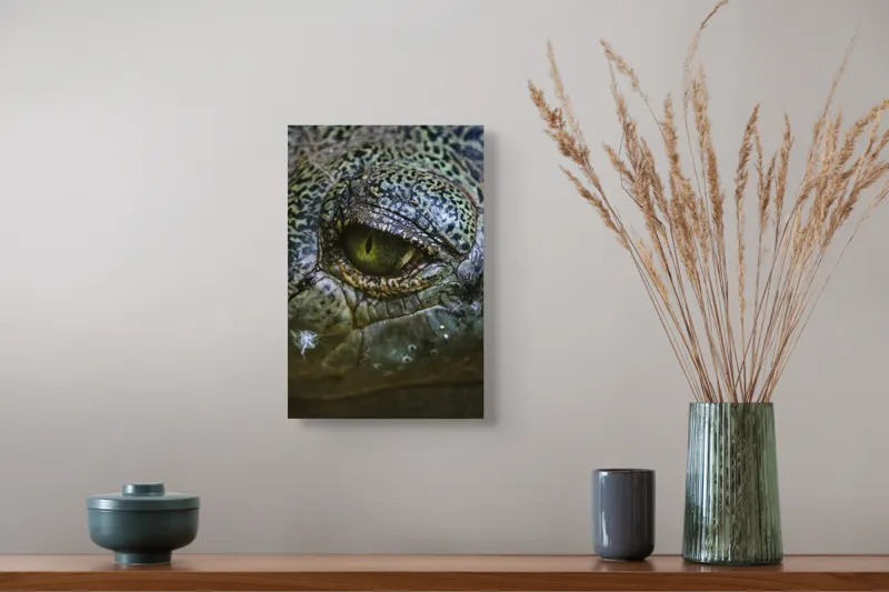 Tablou Canvas, "Privirea enigmatică a reptilei misterioase", 26 x 39 cm – poza 5