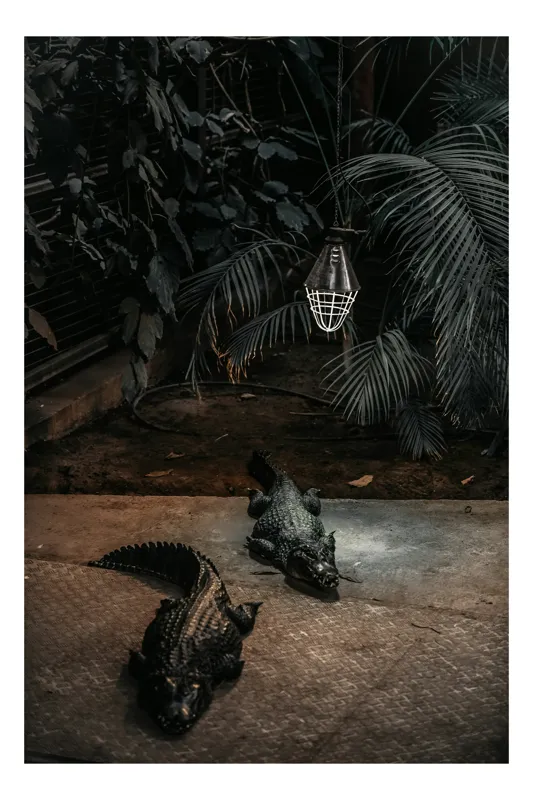 Tablou Canvas, "Crocodili sub lumina nocturnă artificială", Nu știu cine sunt în imagine., 39 x 54 cm
