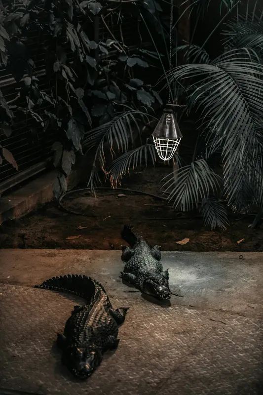 Tablou Canvas, "Crocodili sub lumina nocturnă artificială", 26 x 39 cm – poza 2