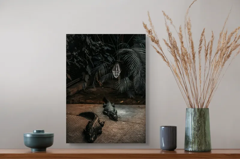 Tablou Canvas, "Crocodili sub lumina nocturnă artificială", 39 x 54 cm – poza 3