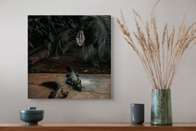 Tablou Canvas, "Crocodili sub lumina nocturnă artificială", 50 x 50 cm – poza 4