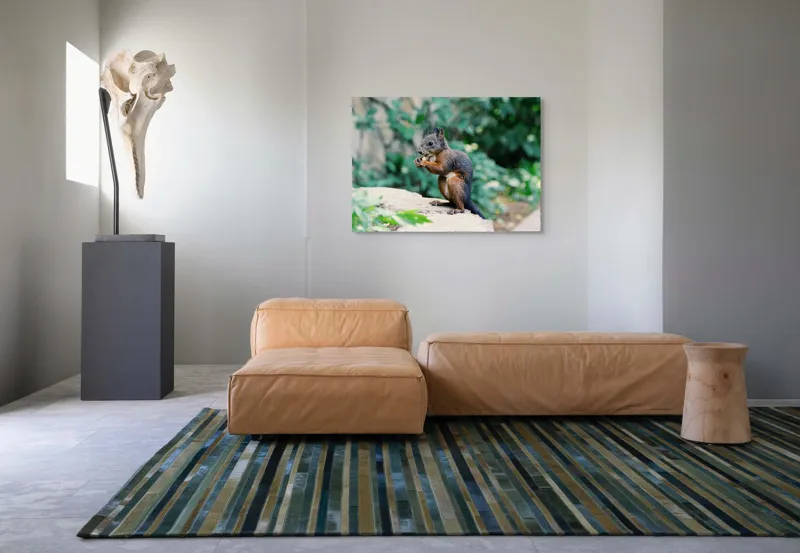 Tablou Canvas, "Veverița savurând un deliciu în pădure", Veveriță, Blană, Iarbă, Copac, Rozătoare, Ghemuită, Verde, Natură, 100 x 70 cm – poza 7