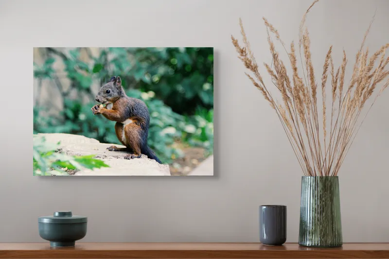 Tablou Canvas, "Veverița savurând un deliciu în pădure", Veveriță, Blană, Iarbă, Copac, Rozătoare, Ghemuită, Verde, Natură, 54 x 39 cm – poza 4