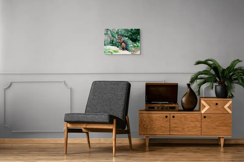 Tablou Canvas, "Veverița savurând un deliciu în pădure", Veveriță, Blană, Iarbă, Copac, Rozătoare, Ghemuită, Verde, Natură, 54 x 39 cm – poza 7