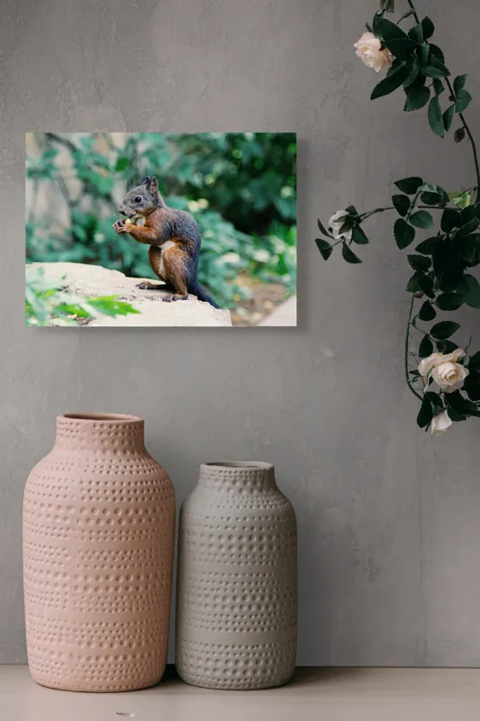 Tablou Canvas, "Veverița savurând un deliciu în pădure", Veveriță, Blană, Iarbă, Copac, Rozătoare, Ghemuită, Verde, Natură, 54 x 39 cm – poza 8
