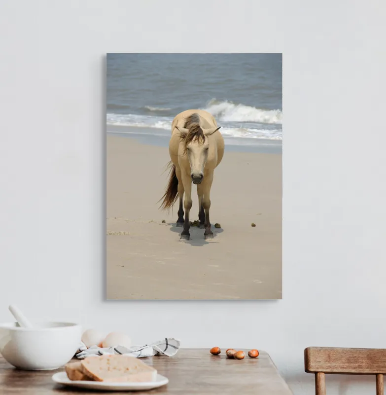 Tablou Canvas, "Calul singuratic pe plaja pustie", Cal, Plajă, Valuri, Nisip, Cer, Ocean, Maretie, Natură, Libertate, Serenitate, 50 x 70 cm – poza 3