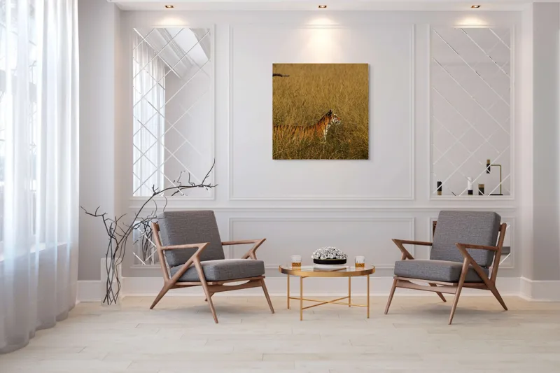 Tablou Canvas, "Tigru în lanul de iarbă aurie", Tigru, Iarbă, Camuflaj, Natură, Sălbăticie, Solitudine, Câmpie, Aventura, Observație, 100 x 100 cm – poza 7