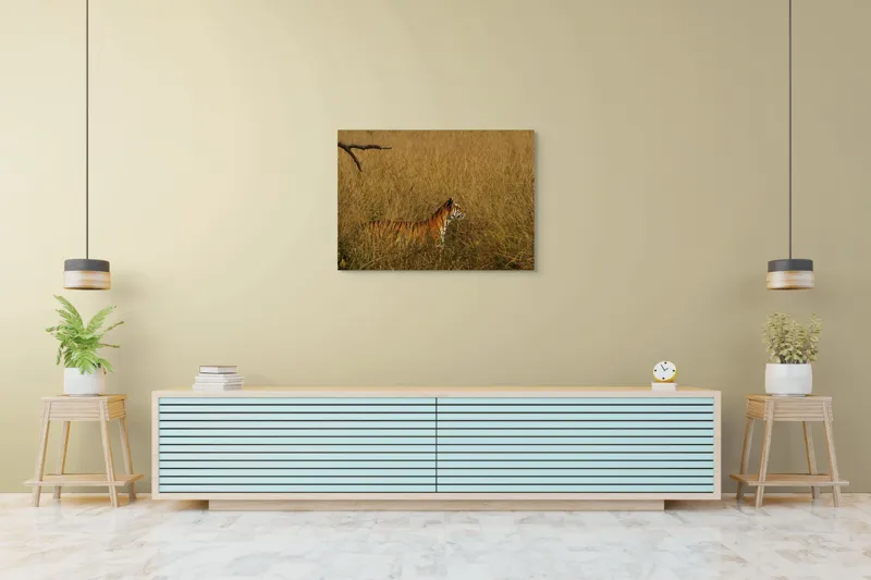 Tablou Canvas, "Tigru în lanul de iarbă aurie", Tigru, Iarbă, Camuflaj, Natură, Sălbăticie, Solitudine, Câmpie, Aventura, Observație, 100 x 70 cm – poza 4