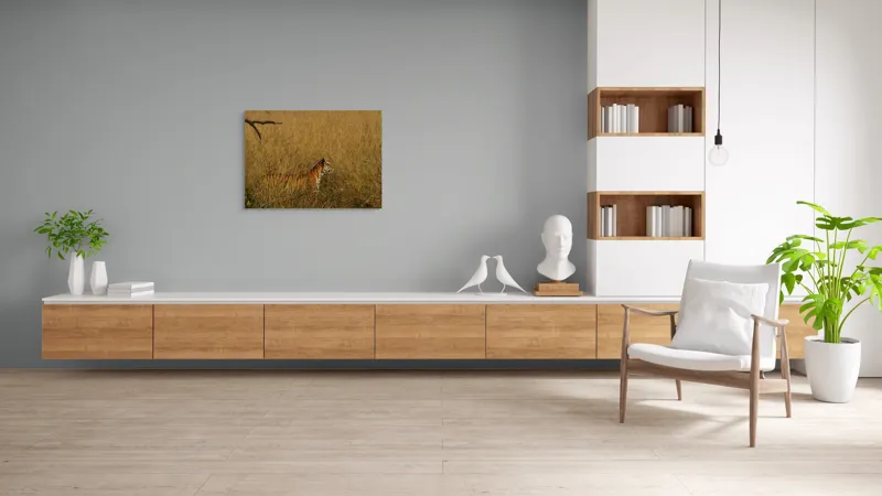 Tablou Canvas, "Tigru în lanul de iarbă aurie", Tigru, Iarbă, Camuflaj, Natură, Sălbăticie, Solitudine, Câmpie, Aventura, Observație, 100 x 70 cm – poza 6
