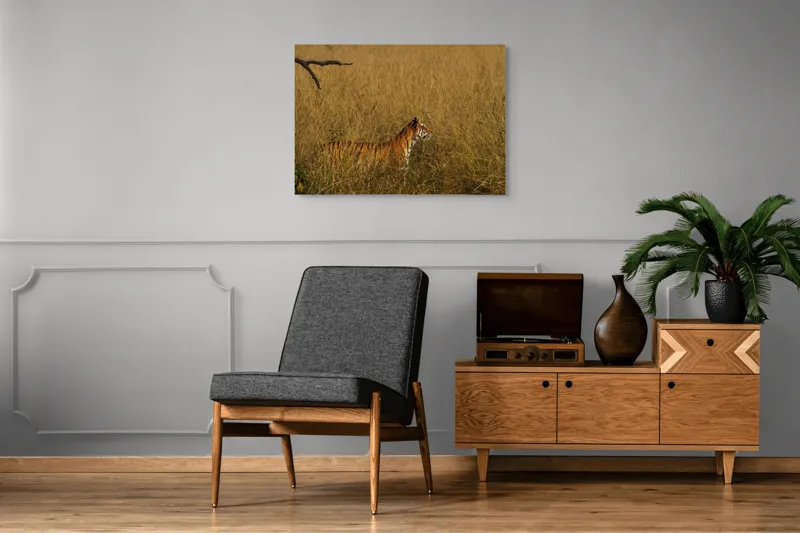 Tablou Canvas, "Tigru în lanul de iarbă aurie", Tigru, Iarbă, Camuflaj, Natură, Sălbăticie, Solitudine, Câmpie, Aventura, Observație, 100 x 70 cm – poza 8