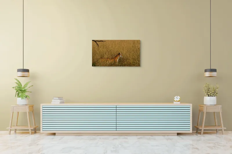 Tablou Canvas, "Tigru în lanul de iarbă aurie", Tigru, Iarbă, Camuflaj, Natură, Sălbăticie, Solitudine, Câmpie, Aventura, Observație, 90 x 50 cm – poza 5