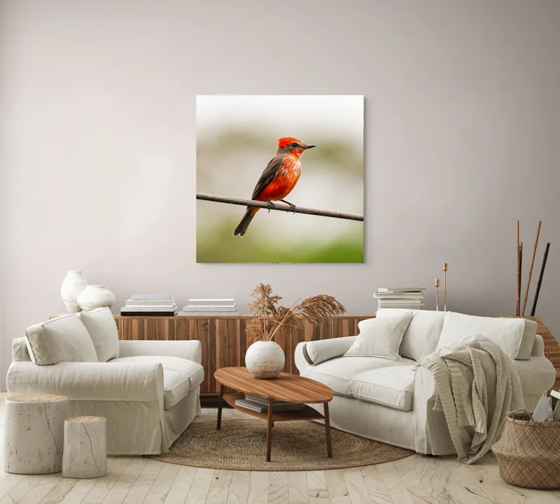 Tablou Canvas, "Pasărea de foc pe sârmă", Pene, Roșii, Vibrante, Pasăre, Fir, Zbor, Cer, Natură, Fundal, Blând, 100 x 100 cm – poza 3