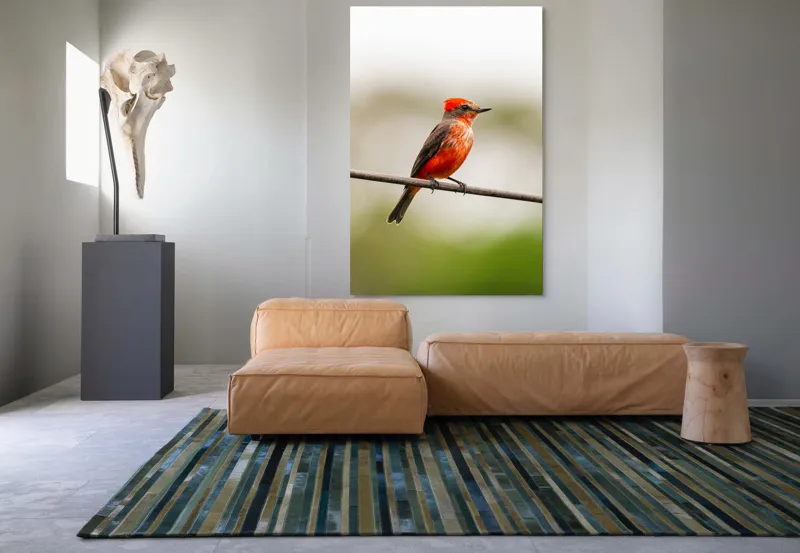 Tablou Canvas, "Pasărea de foc pe sârmă", Pene, Roșii, Vibrante, Pasăre, Fir, Zbor, Cer, Natură, Fundal, Blând, 100 x 150 cm – poza 7