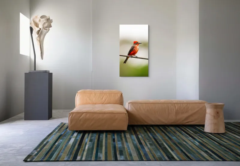 Tablou Canvas, "Pasărea de foc pe sârmă", Pene, Roșii, Vibrante, Pasăre, Fir, Zbor, Cer, Natură, Fundal, Blând, 50 x 90 cm – poza 5
