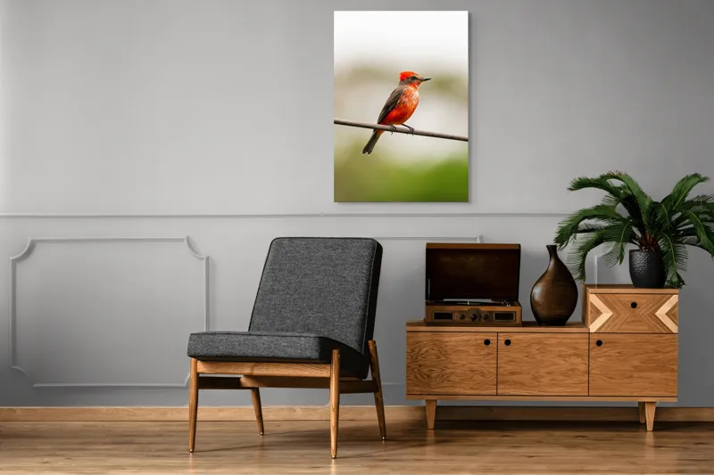 Tablou Canvas, "Pasărea de foc pe sârmă", Pene, Roșii, Vibrante, Pasăre, Fir, Zbor, Cer, Natură, Fundal, Blând, 70 x 100 cm – poza 6