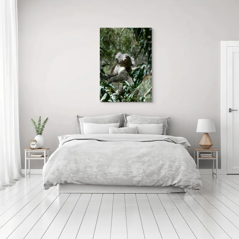 Tablou Canvas, "Koala printre frunzele de eucalipt", Koala, Copac, Frunze, Soare, Eucalipt, Blană, Verde, Natură, Pioșenie, 70 x 100 cm – poza 3