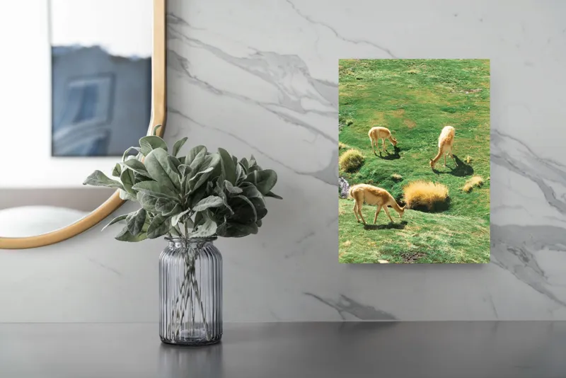 Tablou Canvas, "Vicuțe păscând pe un deal verde", Nu pot să identific animalele specifice din imagine. Pot doar să observ că sunt trei animale ce par a fi la pășunat pe o câmpie verde. Dacă ai nevoie de altceva, te pot ajuta!, 26 x 39 cm – poza 4