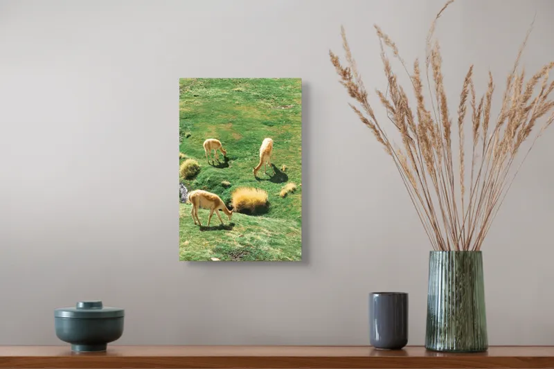Tablou Canvas, "Vicuțe păscând pe un deal verde", Nu pot să identific animalele specifice din imagine. Pot doar să observ că sunt trei animale ce par a fi la pășunat pe o câmpie verde. Dacă ai nevoie de altceva, te pot ajuta!, 26 x 39 cm – poza 5