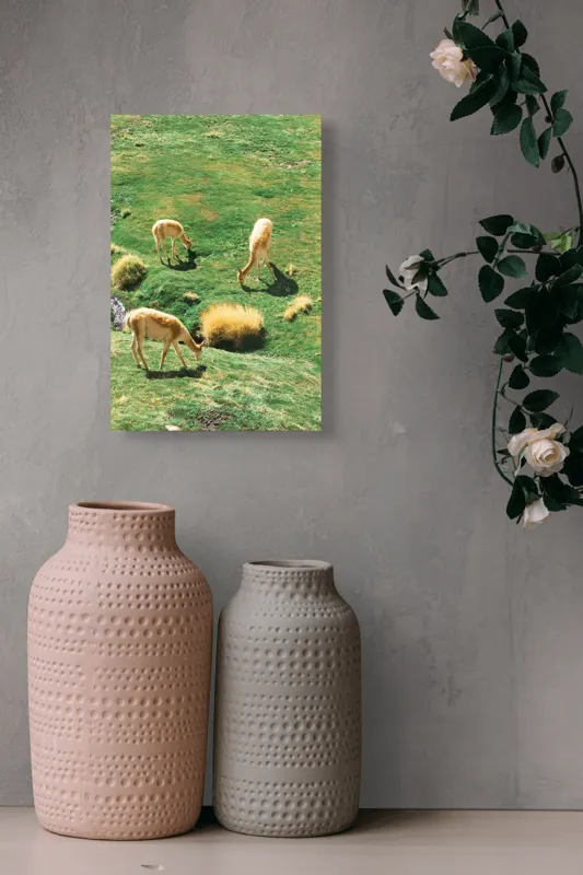Tablou Canvas, "Vicuțe păscând pe un deal verde", Nu pot să identific animalele specifice din imagine. Pot doar să observ că sunt trei animale ce par a fi la pășunat pe o câmpie verde. Dacă ai nevoie de altceva, te pot ajuta!, 26 x 39 cm – poza 6