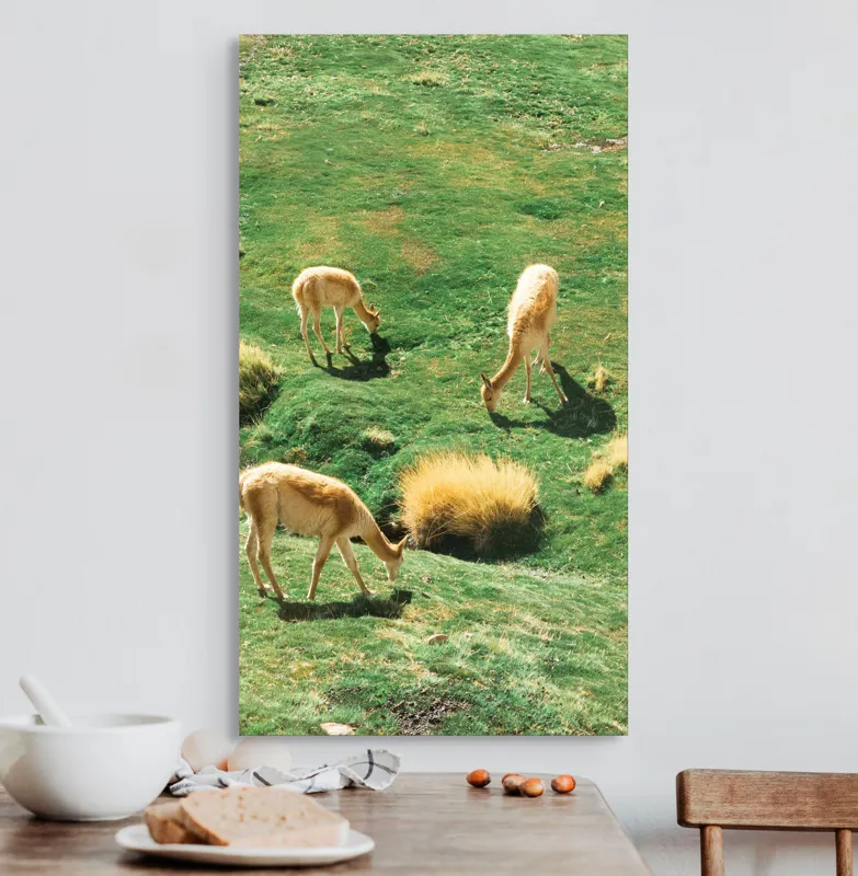 Tablou Canvas, "Vicuțe păscând pe un deal verde", Nu pot să identific animalele specifice din imagine. Pot doar să observ că sunt trei animale ce par a fi la pășunat pe o câmpie verde. Dacă ai nevoie de altceva, te pot ajuta!, 50 x 90 cm – poza 3