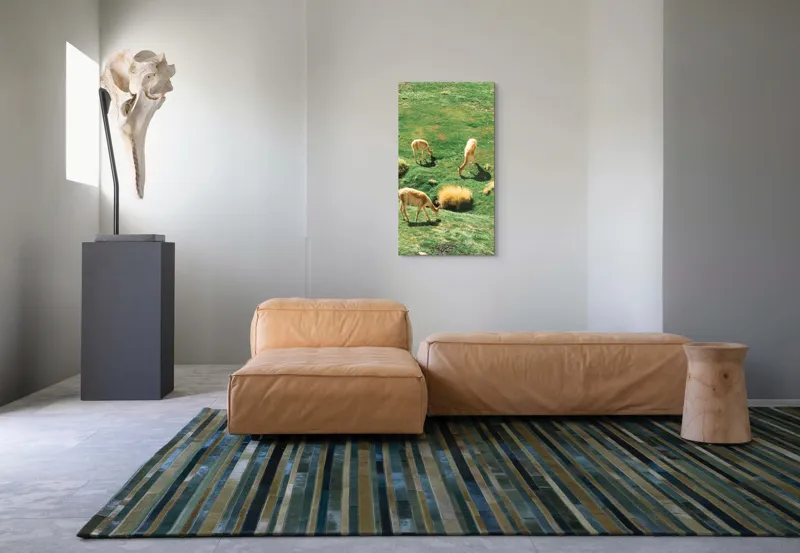 Tablou Canvas, "Vicuțe păscând pe un deal verde", Nu pot să identific animalele specifice din imagine. Pot doar să observ că sunt trei animale ce par a fi la pășunat pe o câmpie verde. Dacă ai nevoie de altceva, te pot ajuta!, 50 x 90 cm – poza 5