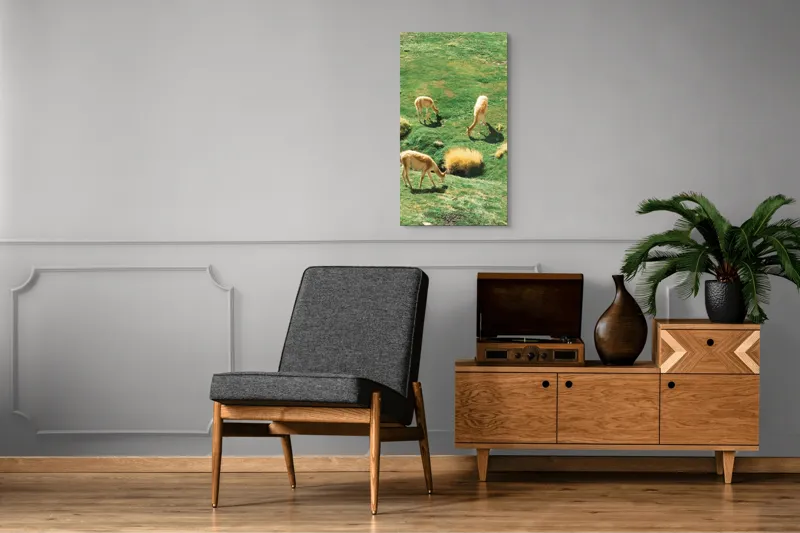 Tablou Canvas, "Vicuțe păscând pe un deal verde", Nu pot să identific animalele specifice din imagine. Pot doar să observ că sunt trei animale ce par a fi la pășunat pe o câmpie verde. Dacă ai nevoie de altceva, te pot ajuta!, 50 x 90 cm – poza 8