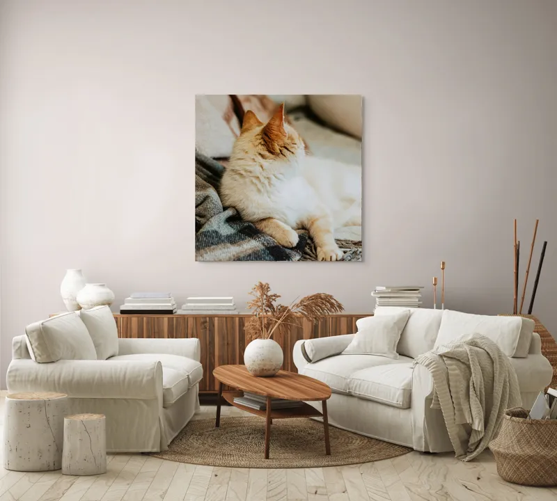 Tablou Canvas, "Pisica relaxată pe pătură călduroasă", Pisica, Pufoasă, Canapea, Pătură, Relaxare, Blană, Coadă, Somn, Odihnă, 100 x 100 cm – poza 3