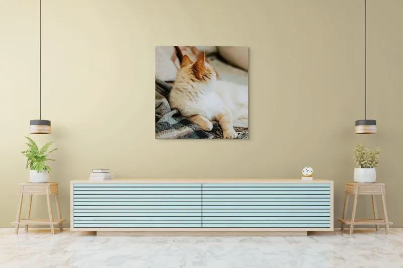 Tablou Canvas, "Pisica relaxată pe pătură călduroasă", Pisica, Pufoasă, Canapea, Pătură, Relaxare, Blană, Coadă, Somn, Odihnă, 100 x 100 cm – poza 5