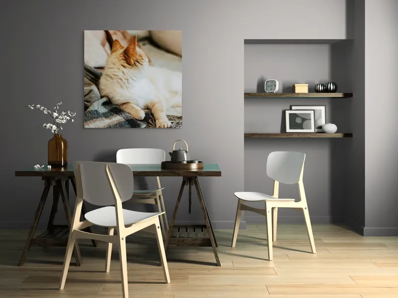Tablou Canvas, "Pisica relaxată pe pătură călduroasă", Pisica, Pufoasă, Canapea, Pătură, Relaxare, Blană, Coadă, Somn, Odihnă, 100 x 100 cm – poza 6