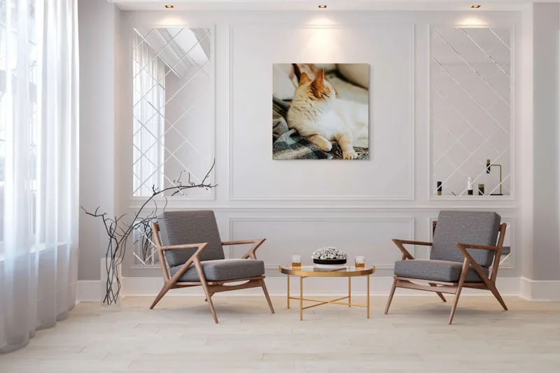 Tablou Canvas, "Pisica relaxată pe pătură călduroasă", Pisica, Pufoasă, Canapea, Pătură, Relaxare, Blană, Coadă, Somn, Odihnă, 100 x 100 cm – poza 7