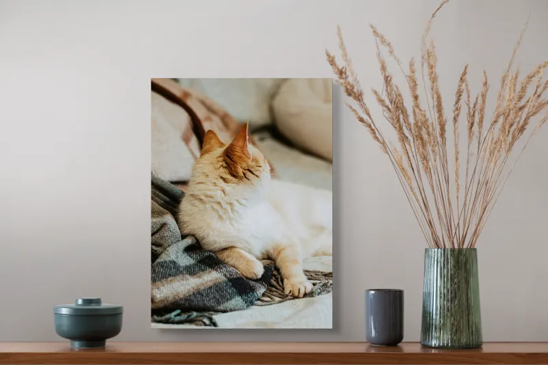 Tablou Canvas, "Pisica relaxată pe pătură călduroasă", Pisica, Pufoasă, Canapea, Pătură, Relaxare, Blană, Coadă, Somn, Odihnă, 39 x 54 cm – poza 3