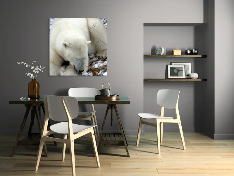 Tablou Canvas, "Urs polar odihnindu-se pe zăpadă", Urs, Alb, Zăpadă, Odihnă, Iarnă, Blană, Natură, Gheață, 100 x 100 cm – poza 6
