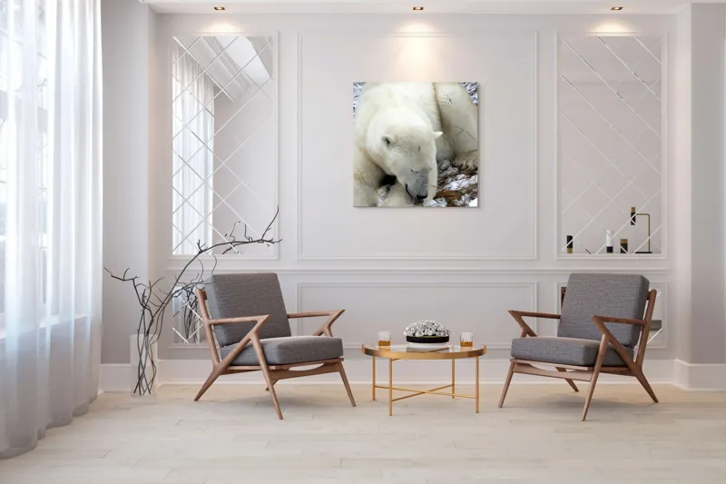 Tablou Canvas, "Urs polar odihnindu-se pe zăpadă", Urs, Alb, Zăpadă, Odihnă, Iarnă, Blană, Natură, Gheață, 100 x 100 cm – poza 7