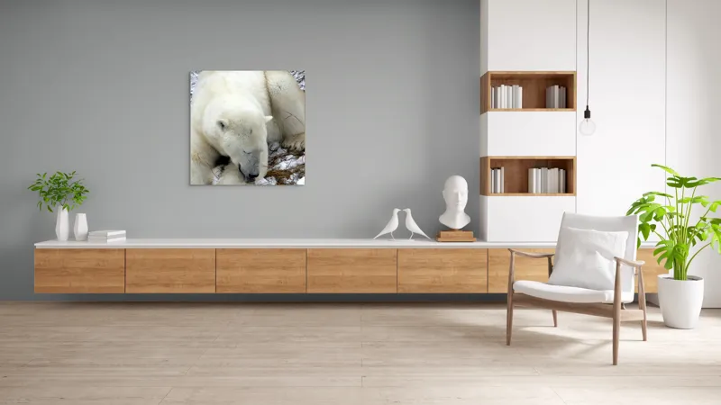 Tablou Canvas, "Urs polar odihnindu-se pe zăpadă", Urs, Alb, Zăpadă, Odihnă, Iarnă, Blană, Natură, Gheață, 100 x 100 cm – poza 8