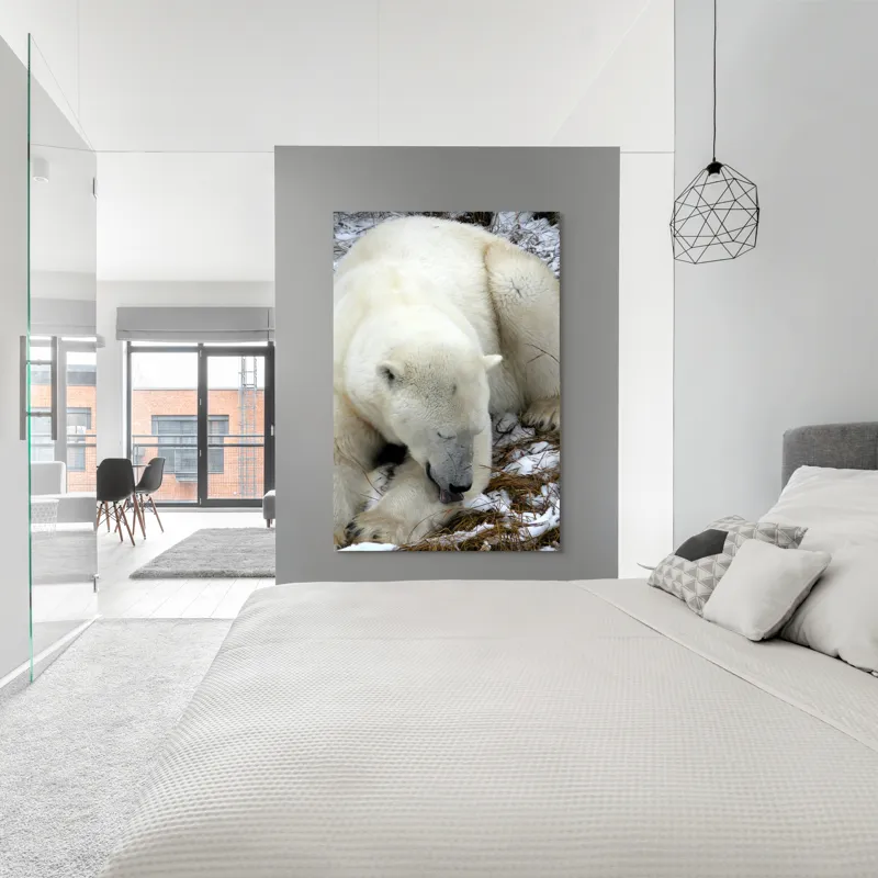 Tablou Canvas, "Urs polar odihnindu-se pe zăpadă", Urs, Alb, Zăpadă, Odihnă, Iarnă, Blană, Natură, Gheață, 100 x 150 cm – poza 5