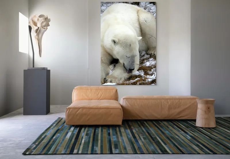 Tablou Canvas, "Urs polar odihnindu-se pe zăpadă", Urs, Alb, Zăpadă, Odihnă, Iarnă, Blană, Natură, Gheață, 100 x 150 cm – poza 7