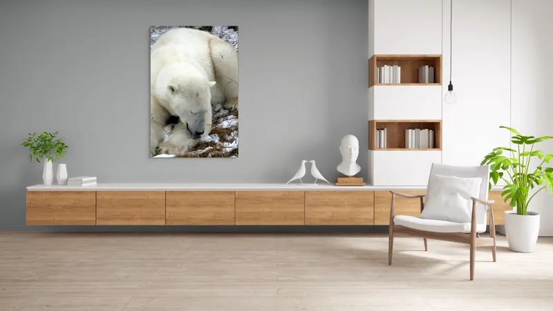 Tablou Canvas, "Urs polar odihnindu-se pe zăpadă", Urs, Alb, Zăpadă, Odihnă, Iarnă, Blană, Natură, Gheață, 100 x 150 cm – poza 8