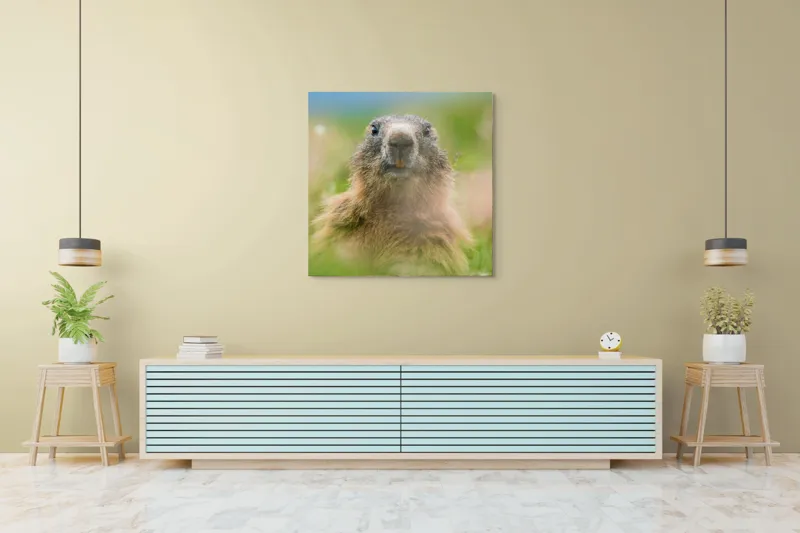 Tablou Canvas, "Marmota în mijlocul pajiștii verzi", Marmotă, Verdeață, Privire, Natura, Blană, Flori, Tranquilitate, Câmpie, Plante, Explorare, 100 x 100 cm – poza 5