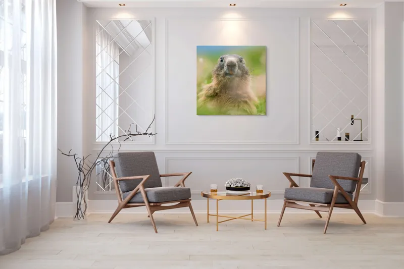 Tablou Canvas, "Marmota în mijlocul pajiștii verzi", Marmotă, Verdeață, Privire, Natura, Blană, Flori, Tranquilitate, Câmpie, Plante, Explorare, 100 x 100 cm – poza 7
