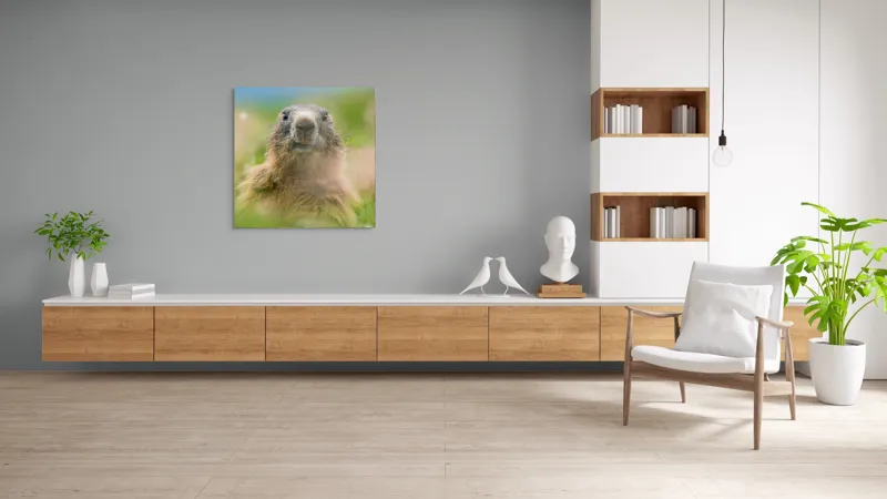 Tablou Canvas, "Marmota în mijlocul pajiștii verzi", Marmotă, Verdeață, Privire, Natura, Blană, Flori, Tranquilitate, Câmpie, Plante, Explorare, 100 x 100 cm – poza 8