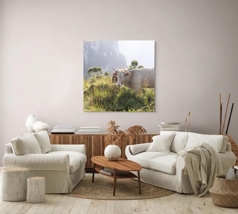 Tablou Canvas, "Vaci păscând pe marginea canionului", Vacă, Pajiște, Munți, Natură, Verdeață, Cer, Priveliște, Lumină, Blândețe, Rural., 100 x 100 cm – poza 3