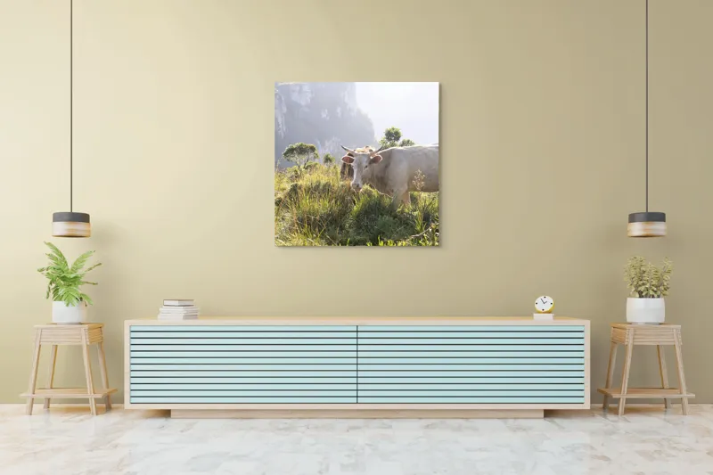 Tablou Canvas, "Vaci păscând pe marginea canionului", Vacă, Pajiște, Munți, Natură, Verdeață, Cer, Priveliște, Lumină, Blândețe, Rural., 100 x 100 cm – poza 5