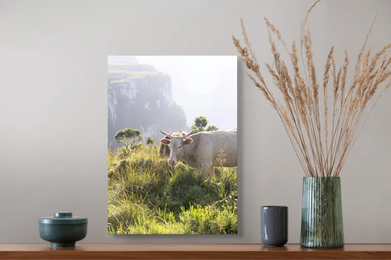 Tablou Canvas, "Vaci păscând pe marginea canionului", Vacă, Pajiște, Munți, Natură, Verdeață, Cer, Priveliște, Lumină, Blândețe, Rural., 39 x 54 cm – poza 3