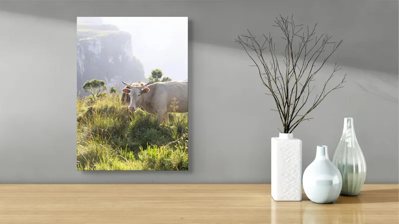 Tablou Canvas, "Vaci păscând pe marginea canionului", Vacă, Pajiște, Munți, Natură, Verdeață, Cer, Priveliște, Lumină, Blândețe, Rural., 39 x 54 cm – poza 4