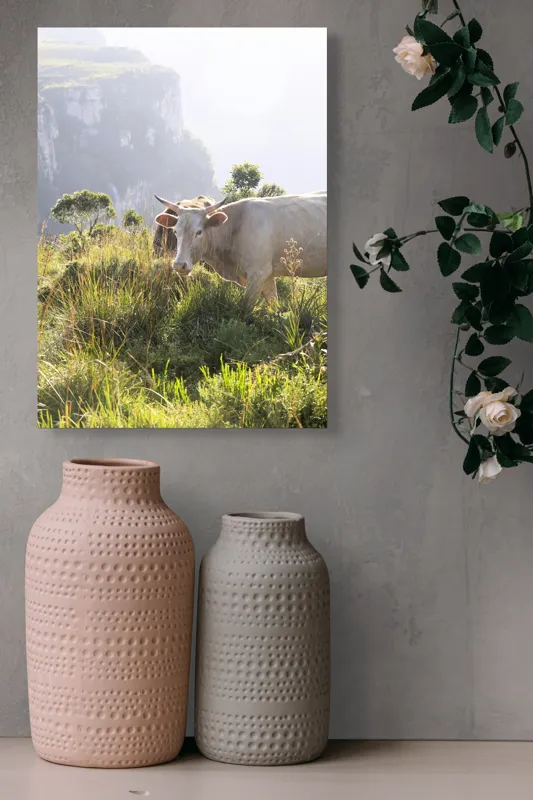 Tablou Canvas, "Vaci păscând pe marginea canionului", Vacă, Pajiște, Munți, Natură, Verdeață, Cer, Priveliște, Lumină, Blândețe, Rural., 39 x 54 cm – poza 6