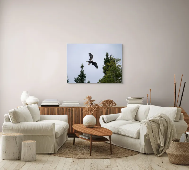 Tablou Canvas, "Vulturul în zbor deasupra pădurii", Vultur, Zbor, Arbori, Cer, Libertate, Natură, Eleganță, Vânător., 100 x 70 cm – poza 3