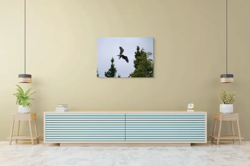 Tablou Canvas, "Vulturul în zbor deasupra pădurii", Vultur, Zbor, Arbori, Cer, Libertate, Natură, Eleganță, Vânător., 100 x 70 cm – poza 4