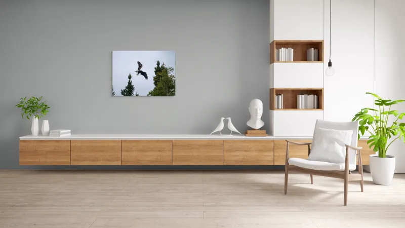 Tablou Canvas, "Vulturul în zbor deasupra pădurii", Vultur, Zbor, Arbori, Cer, Libertate, Natură, Eleganță, Vânător., 100 x 70 cm – poza 6