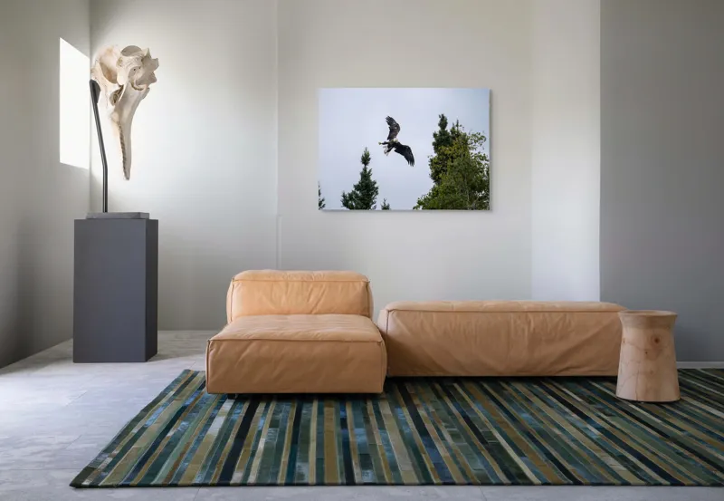 Tablou Canvas, "Vulturul în zbor deasupra pădurii", Vultur, Zbor, Arbori, Cer, Libertate, Natură, Eleganță, Vânător., 100 x 70 cm – poza 7