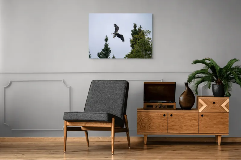 Tablou Canvas, "Vulturul în zbor deasupra pădurii", Vultur, Zbor, Arbori, Cer, Libertate, Natură, Eleganță, Vânător., 100 x 70 cm – poza 8